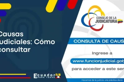 ▷ Consulta de Causas | Consejo de la Judicatura