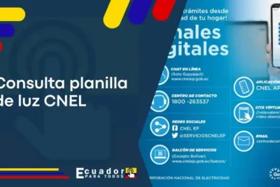 Consultar Planilla de Luz Guayaquil CNEL EP