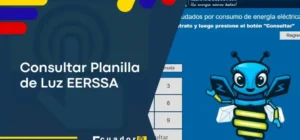 Consultar Planilla de Luz EERSSA