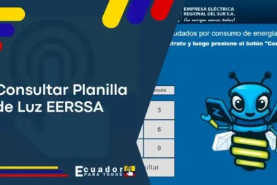 Consultar Planilla de Luz EERSSA