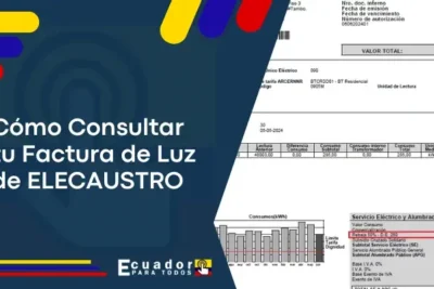 Consulta la Planilla de Luz en Empresa Eléctrica Regional Centro Sur C.A.