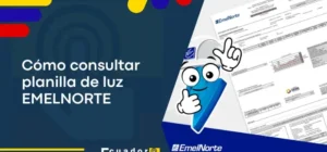 Pasos para consultar la Planilla de Luz en EMELNORTE