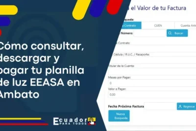 Consultar Planilla de Luz EEASA Consultar y Descargar
